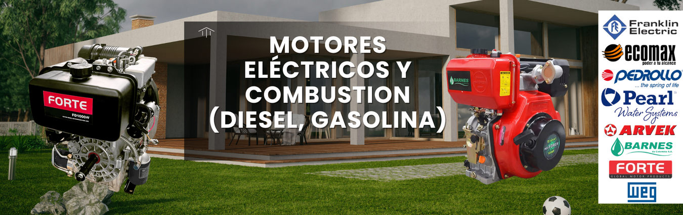 Motores Eléctricos y Combustión (Diesel, Gasolina)